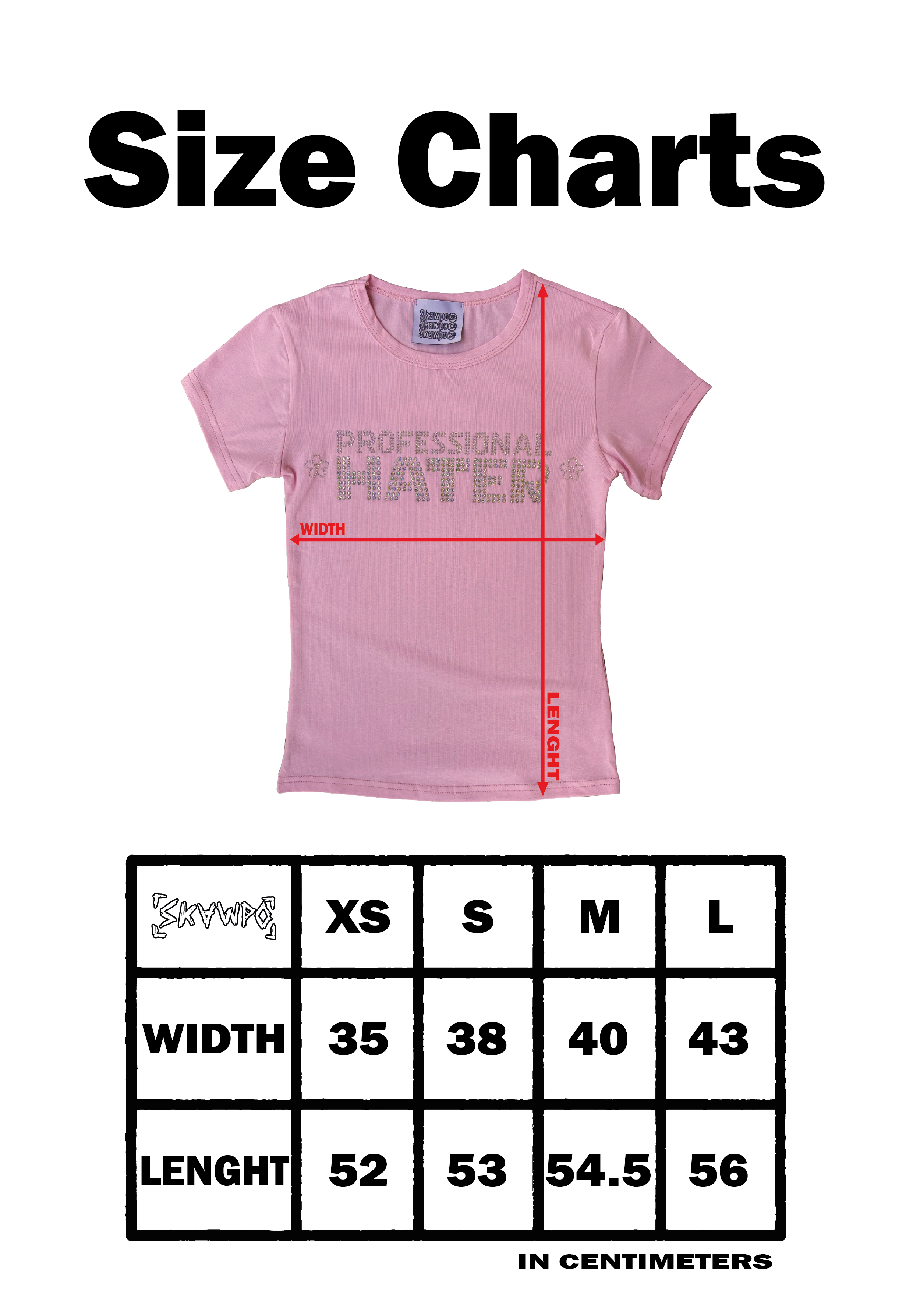 T-SHIRT PROFESSIONAL HATER